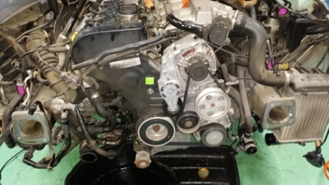 3696014386_195c11ca_4c6ac69651e0f6297180220e5bc8f1b8_1587519034_6522.jpg